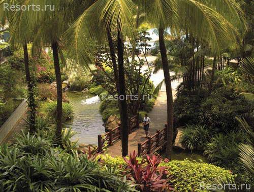 Rasa Sentosa Resort Singapore by Shangri-La 3